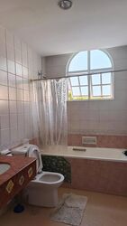Eastwood Park (D16), Terrace #518617381